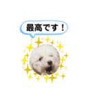 かねねんのうめ吉くん④（個別スタンプ：17）