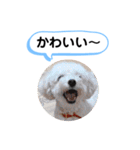 かねねんのうめ吉くん④（個別スタンプ：18）