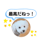 かねねんのうめ吉くん④（個別スタンプ：19）