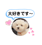 かねねんのうめ吉くん④（個別スタンプ：20）