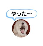 かねねんのうめ吉くん④（個別スタンプ：21）