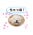 かねねんのうめ吉くん④（個別スタンプ：22）