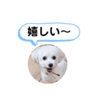 かねねんのうめ吉くん④（個別スタンプ：23）