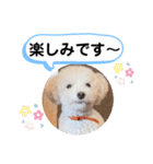 かねねんのうめ吉くん④（個別スタンプ：24）