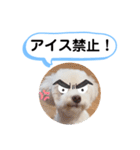 かねねんのうめ吉くん④（個別スタンプ：26）