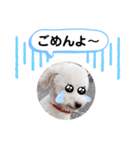かねねんのうめ吉くん④（個別スタンプ：27）