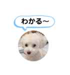 かねねんのうめ吉くん④（個別スタンプ：28）