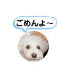 かねねんのうめ吉くん④（個別スタンプ：29）