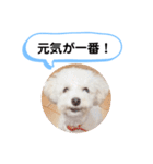 かねねんのうめ吉くん④（個別スタンプ：30）