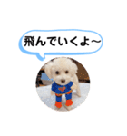 かねねんのうめ吉くん④（個別スタンプ：31）