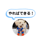 かねねんのうめ吉くん④（個別スタンプ：32）