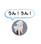 かねねんのうめ吉くん④（個別スタンプ：33）
