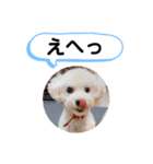かねねんのうめ吉くん④（個別スタンプ：35）