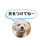 かねねんのうめ吉くん④（個別スタンプ：36）