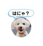 かねねんのうめ吉くん④（個別スタンプ：37）