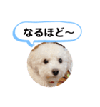 かねねんのうめ吉くん④（個別スタンプ：39）