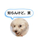 かねねんのうめ吉くん④（個別スタンプ：40）