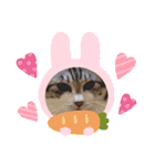mochimochi.omochi2（個別スタンプ：5）