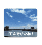 みつる・小次郎・ラル・はち出演♦普段使い（個別スタンプ：18）