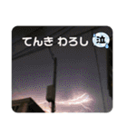 みつる・小次郎・ラル・はち出演♦普段使い（個別スタンプ：19）