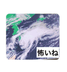 みつる・小次郎・ラル・はち出演♦普段使い（個別スタンプ：32）