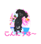 黒プー吉右衛門さん日常スタンプ（個別スタンプ：5）