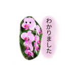 敬語 使いやすい（個別スタンプ：5）