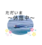 海。空撮スタンプ『総集編』（個別スタンプ：19）