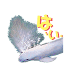 海。空撮スタンプ『総集編』（個別スタンプ：21）