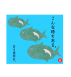 海。空撮スタンプ『総集編』（個別スタンプ：23）
