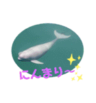 海。空撮スタンプ『総集編』（個別スタンプ：32）