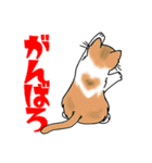 後ろ姿で語る猫のキモチ（個別スタンプ：10）