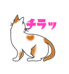 後ろ姿で語る猫のキモチ（個別スタンプ：14）