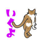 後ろ姿で語る猫のキモチ（個別スタンプ：15）