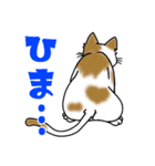 後ろ姿で語る猫のキモチ（個別スタンプ：17）