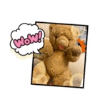 ぶさカワくーちゃん（個別スタンプ：1）