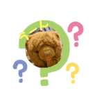 ぶさカワくーちゃん（個別スタンプ：6）