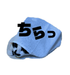 はなちゃんスタンプだにゃ（個別スタンプ：7）