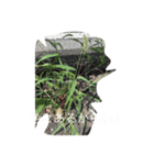 よろしくお願いします103（個別スタンプ：11）