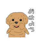 とある家の、犬（個別スタンプ：1）