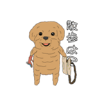 とある家の、犬（個別スタンプ：11）