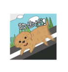 とある家の、犬（個別スタンプ：13）