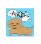 とある家の、犬（個別スタンプ：14）