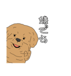 とある家の、犬（個別スタンプ：32）