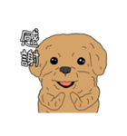 とある家の、犬（個別スタンプ：34）