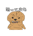 とある家の、犬（個別スタンプ：38）