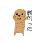 とある家の、犬（個別スタンプ：39）