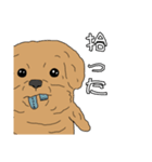 とある家の、犬（個別スタンプ：40）