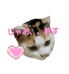 家のエリちゃん(改訂版)（個別スタンプ：2）