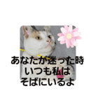 家のエリちゃん(改訂版)（個別スタンプ：4）
